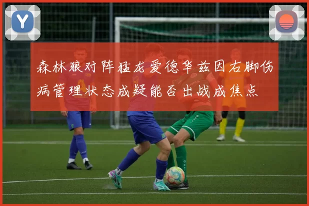 森林狼对阵猛龙爱德华兹因右脚伤病管理状态成疑能否出战成焦点