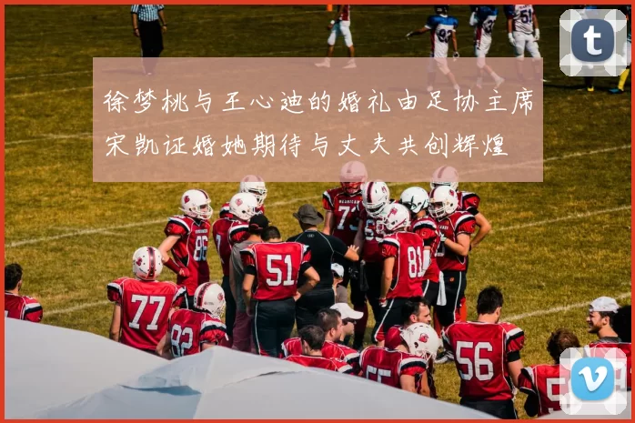 徐梦桃与王心迪的婚礼由足协主席宋凯证婚她期待与丈夫共创辉煌