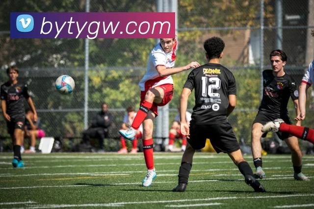 App Interface Preview